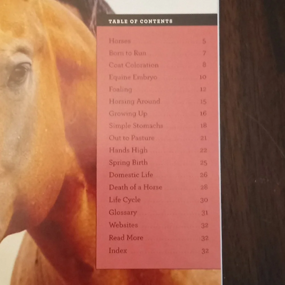 Grow w/Me Horses An Explanation of the Life Cycle & Life Span of Horses 32 Pages